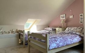 Cosy Twin Room With Private Bathroom